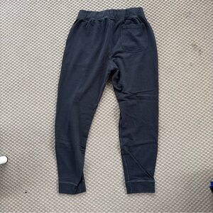 Buck mason navy sweatpants